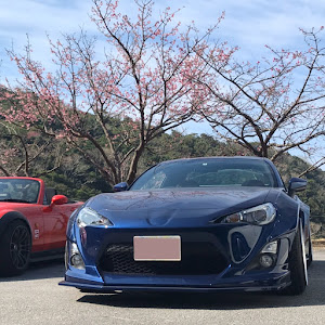 BRZ ZC6