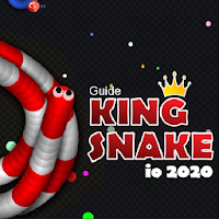 Snake zone worm io guide 2020