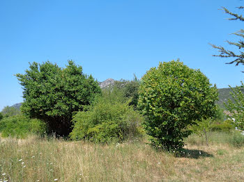 terrain à Saint-Hippolyte-du-Fort (30)