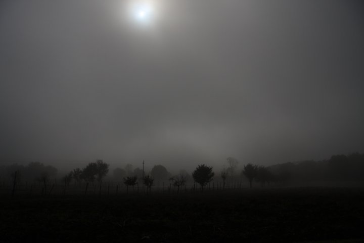 Luce nella nebbia. di BMB