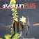 Akvaryum Plus 8 icon