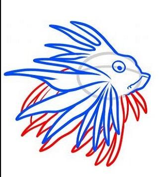 How To Draw Fish Easy