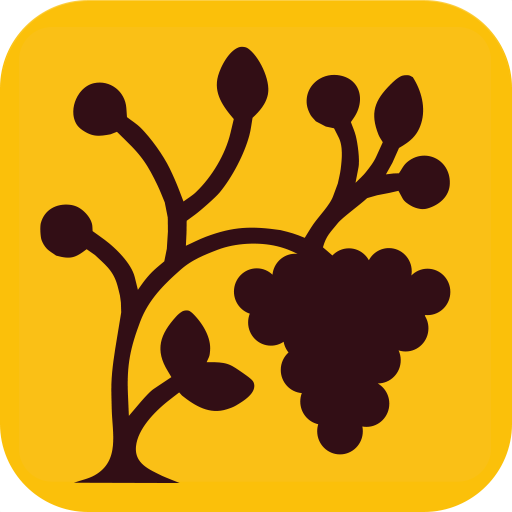 Бонусная карта чайхона сказка