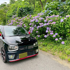 アルトワークス HA36S