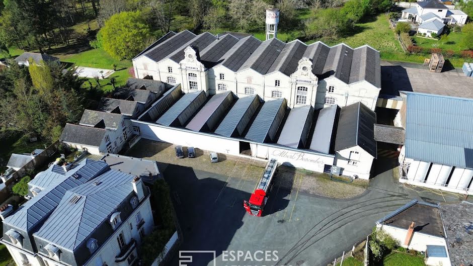 Vente locaux professionnels  9026 m² à Saumur (49400), 1 750 000 €