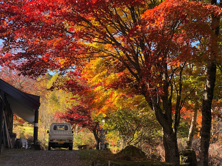 スペーシアカスタムの御嶽山・開田高原・茶臼山高原・治部坂高原・紅葉と愛車に関するカスタム事例の投稿画像11枚目