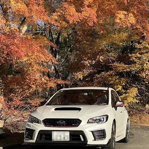 WRX STI