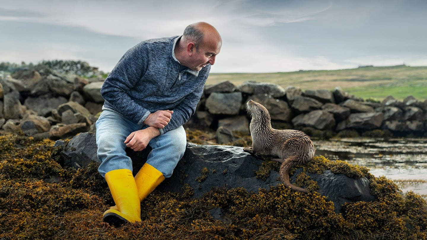 Billy & Molly: An Otter Love Story