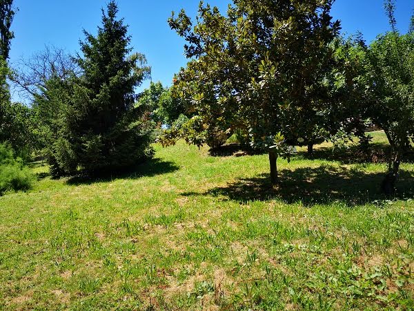 Vente terrain  1151 m² à Genay (69730), 270 000 €