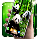 Cover Image of Download Panda 3D in Bamboo parallax live wallpapers 4.9.0 APK
