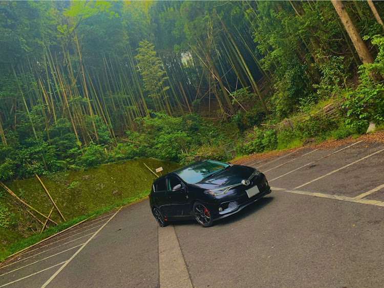 オーリスのドライブ・河内貯水池・曇り盛れ・三密回避に関するカスタム事例の投稿画像1枚目