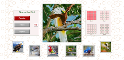 Bird Puzzle Games Free - MELO Apps Puzzle Game