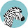 Zebra Wallpapers Zebras New Tab freeaddon.com