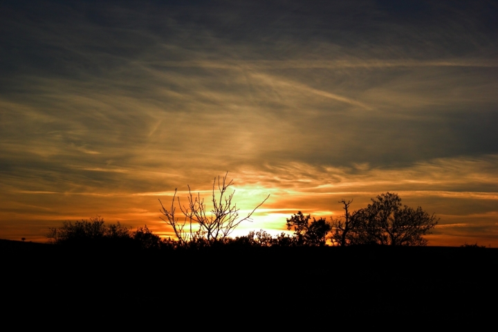 Tramonto murgiano di micomatrix