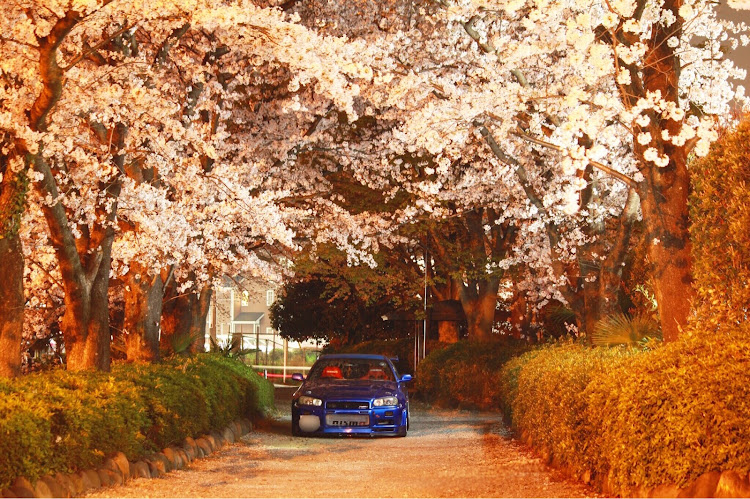 スカイラインのER34・夜桜・お尻・2018ベストショットに関するカスタム事例の投稿画像1枚目