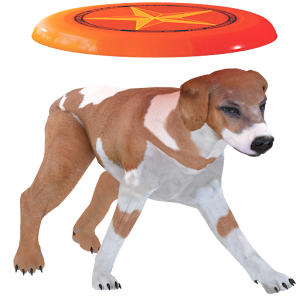 Frisbee Dog1