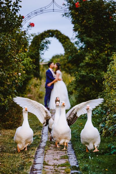 Photographer sa kasal Yasminundtim Stagge (yasminundtim). Larawan ni 25 Marso 2019