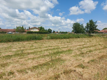 maison neuve à Bérat (31)