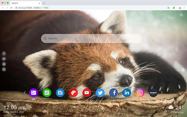 Panda Popular Animals HD New Tabs Theme