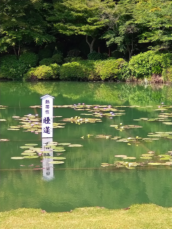 の投稿画像17枚目