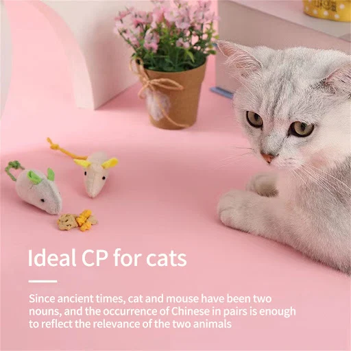 1/3/5PCS Mouse Toy Bite Resistance Pet Products New Kitten Toy Universal Pet Accessories Creative Cat Toy Interactive