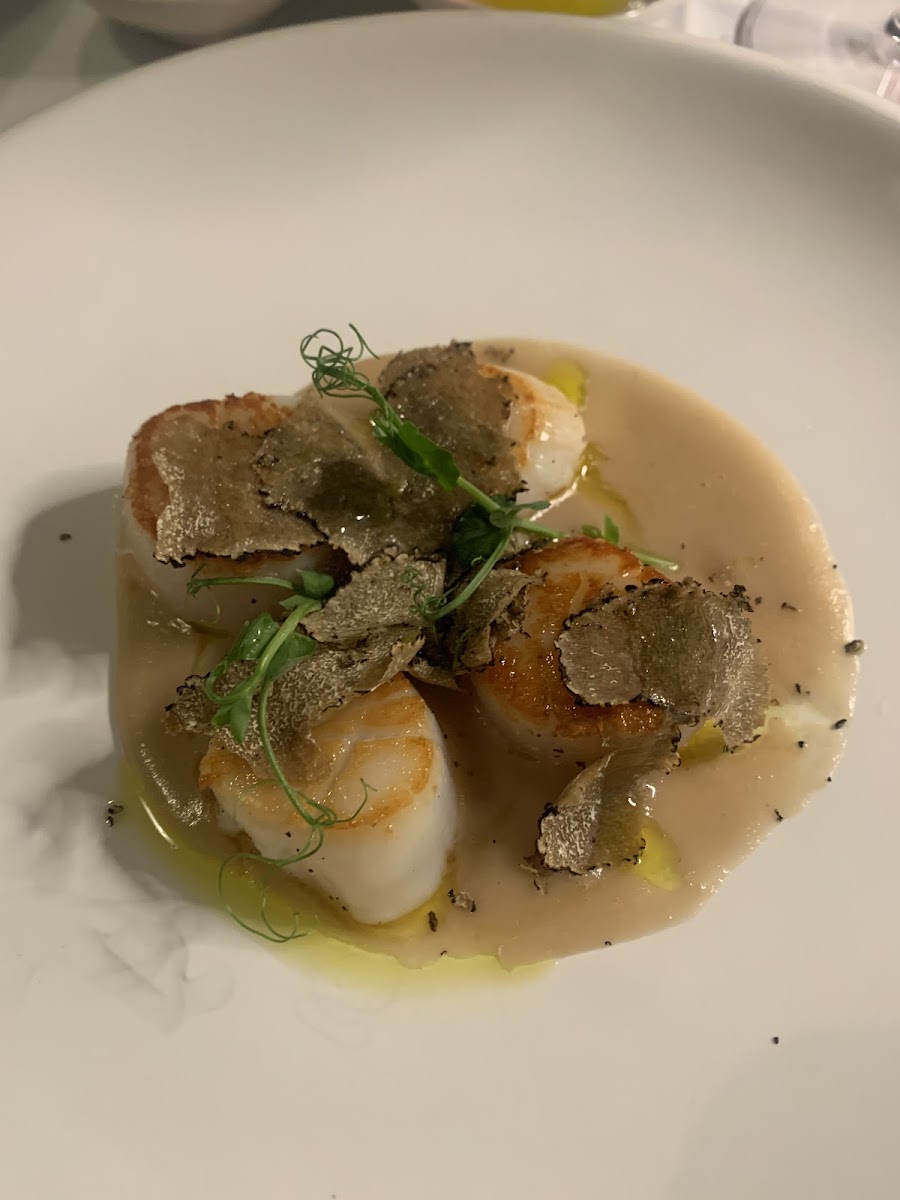 Seared scallops with truffles