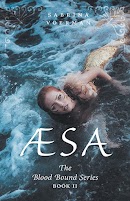 Æsa cover
