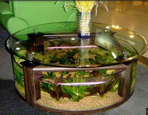 Aquarium Decoration Ideas