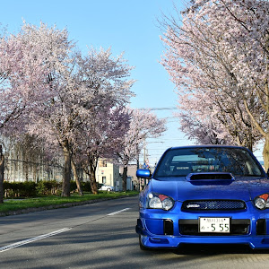 インプレッサ WRX STI GDB