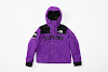 supreme the north face arc logo mountain parka purple