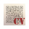 Item logo image for Un QR code sur votre CV