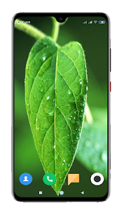 Green Wallpaper HD(圖4)-速報App