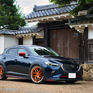 CX-3 DKEFW