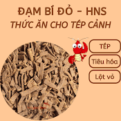 Đạm Bí Đỏ Hns - Đạm Bí Ngô Giúp Tép Lọt Vỏ, Tiêu Hóa Tốt - Thức Ăn Tép Cảnh, Thức Ăn Cá Tầng Đáy - Hingaostore.