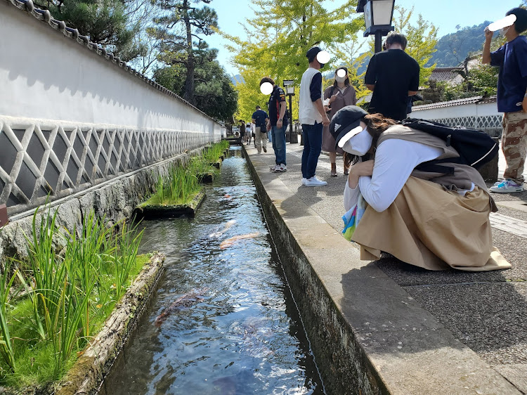 の投稿画像24枚目