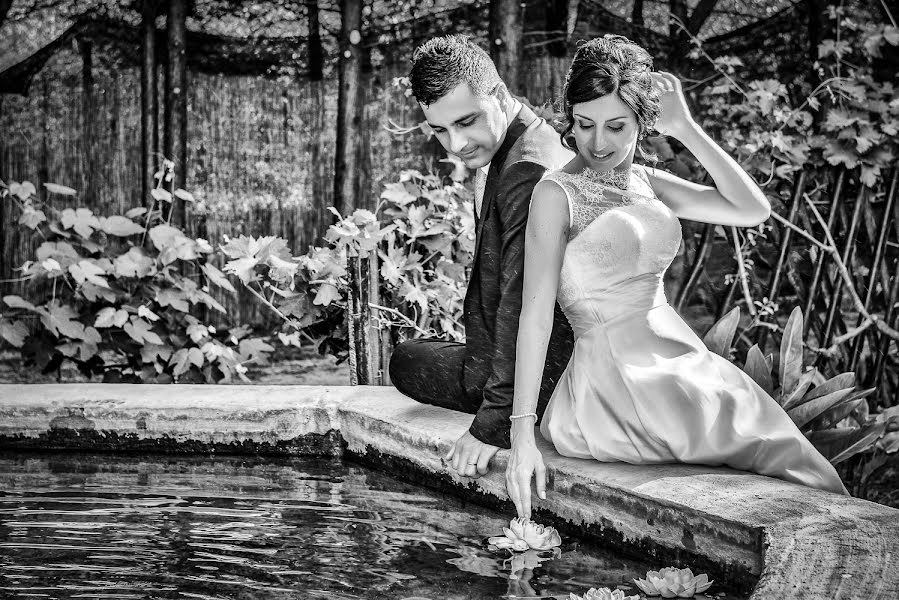 Fotógrafo de casamento Dario Dalessandro (dariodalessandro). Foto de 20 de dezembro 2016