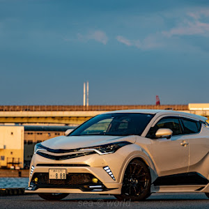 C-HR NGX50