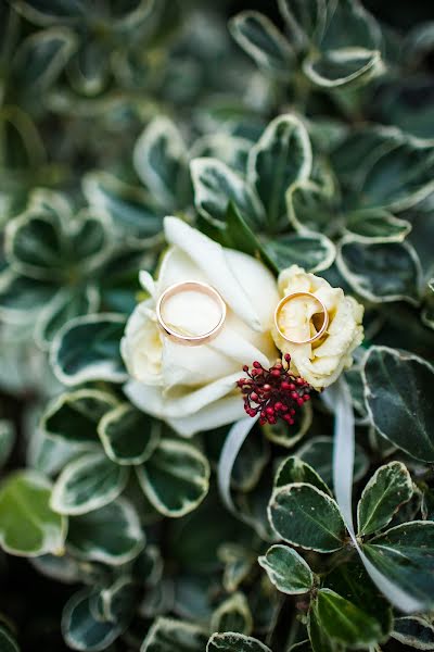 Fotografo di matrimoni Evgeniya Orlova (orlusha). Foto del 18 novembre 2015