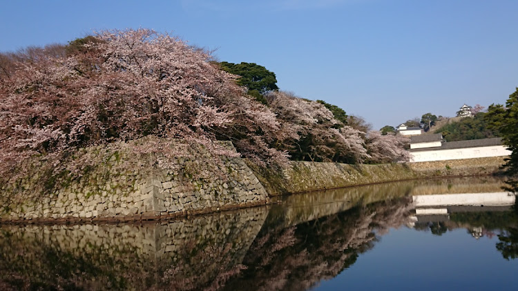 の投稿画像3枚目