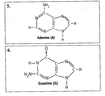 Solution Image