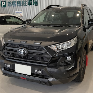 RAV4 MXAA54