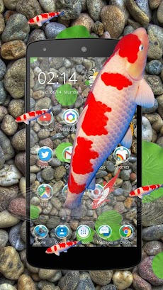 KOIラッキー魚3Dのテーマのおすすめ画像2