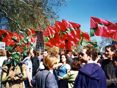 Kennington Park meet up, Reclaim The Streets, London 12th April 1997