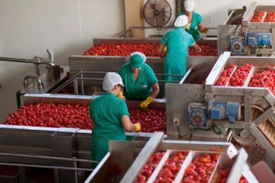 Trabajadora de un almacén frutícola de Almería: “Tienes que estar dispuesto a trabajar 24 horas al día si te lo exigen”