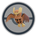 Noctowl