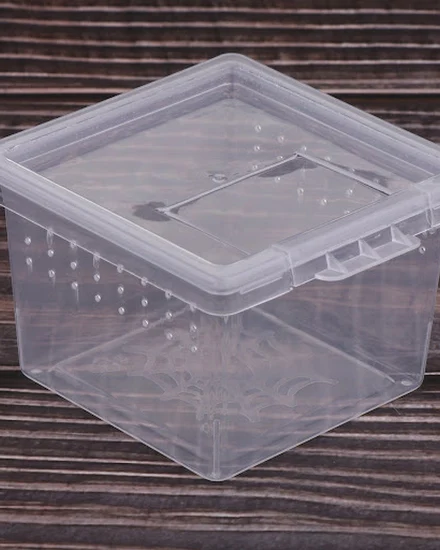 10x Feeding Box Reptile Cage Hatching Container Rearing T... - 1