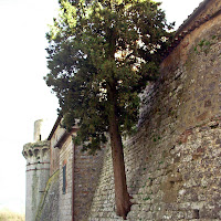 Cresciuto nel posto sbagliato di FransuaR