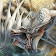 Dragon Wallpaper icon