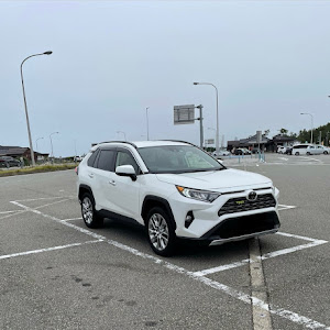 RAV4 MXAA54