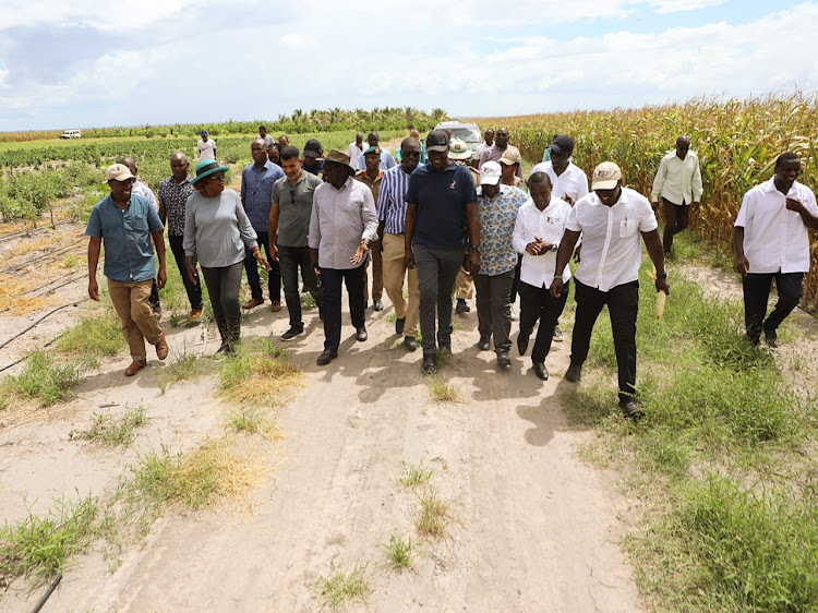 President William Ruto with other leaders during an extensive tour of Galana/Kulalu National Food Security Project on January 3, 2023.